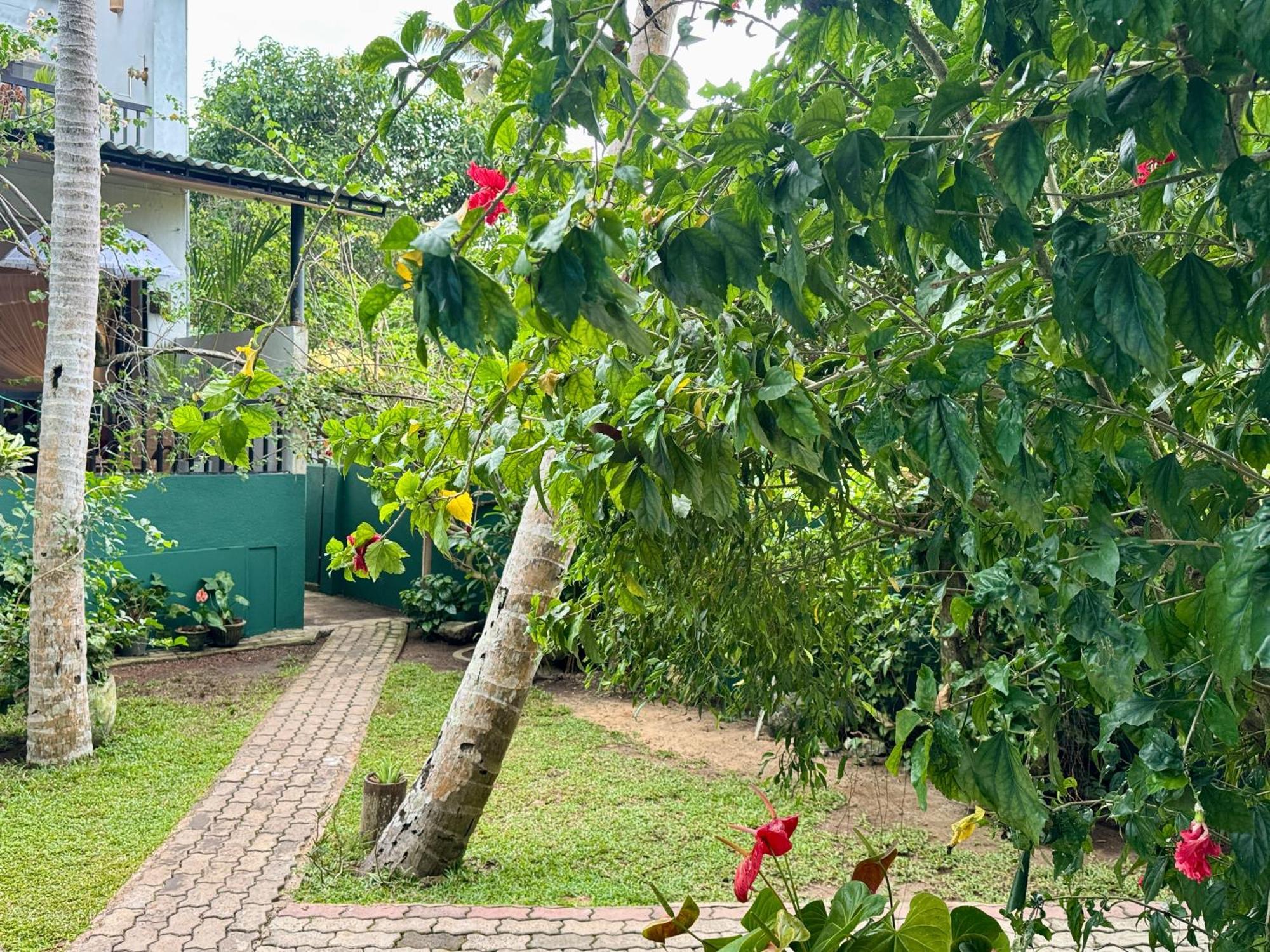 Swastha Ayurveda Villa Hikkaduwa Exteriör bild